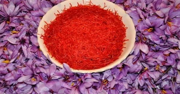 تصویر 3 از قیمت زعفران اصل قاینات + خرید باور نکردنی
